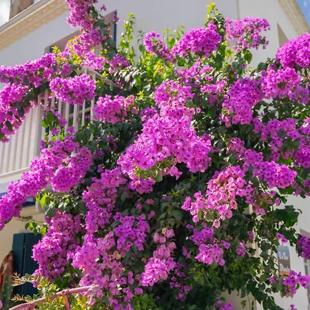 La Presqu'ile * Talmont-sur-Gironde